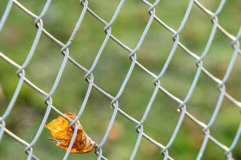 fencing with a leaf